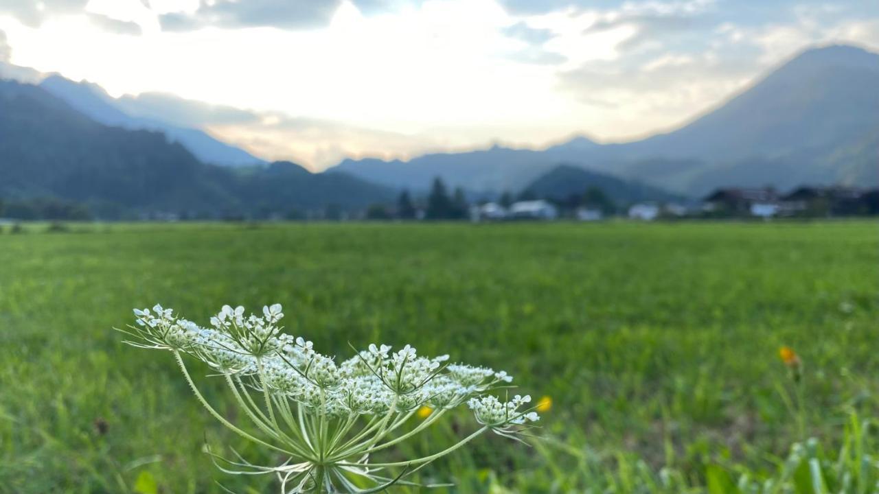 Kranzhornblick - Alpenmagie Appartement Oberaudorf