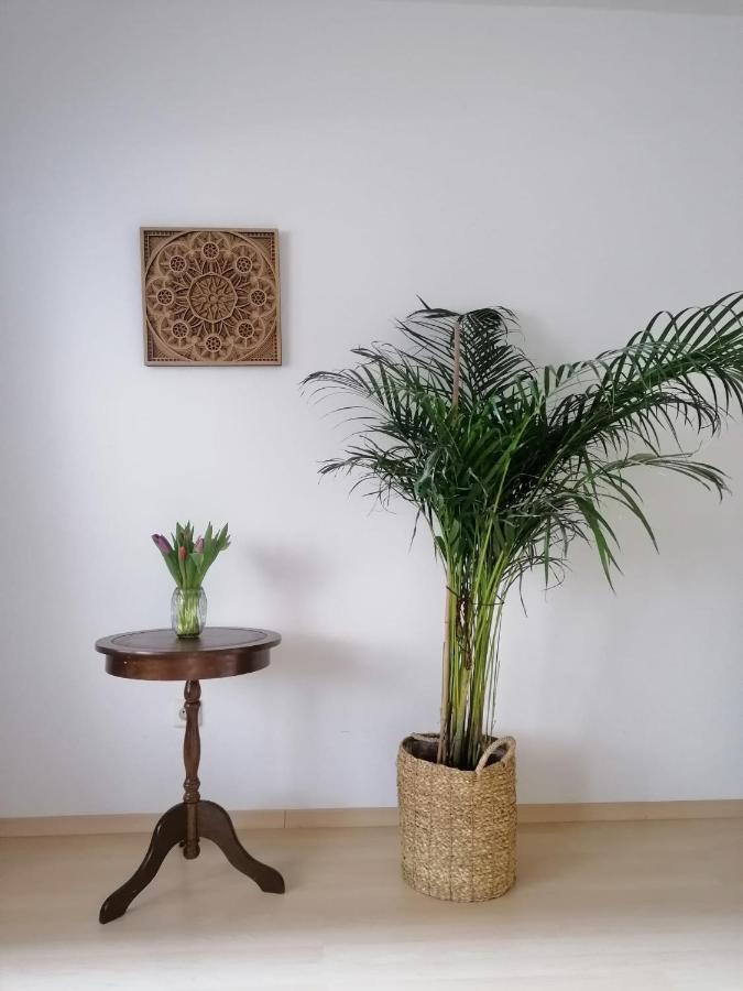 Appartement Kranzhornblick - Alpenmagie